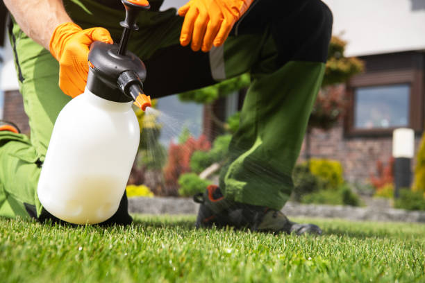 Professional Pest Control in Many, LA