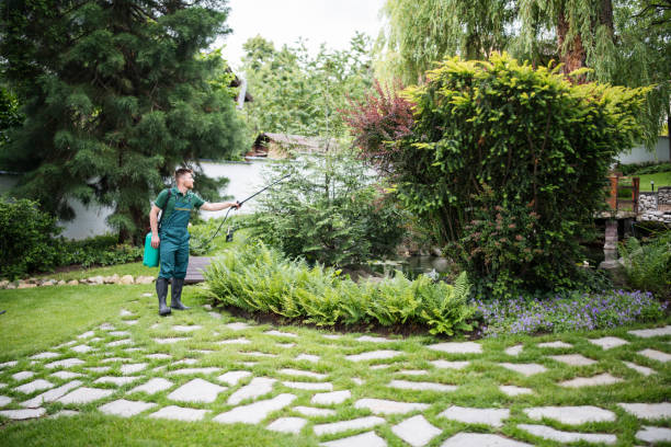 Best Commercial Pest Control Services  in Many, LA
