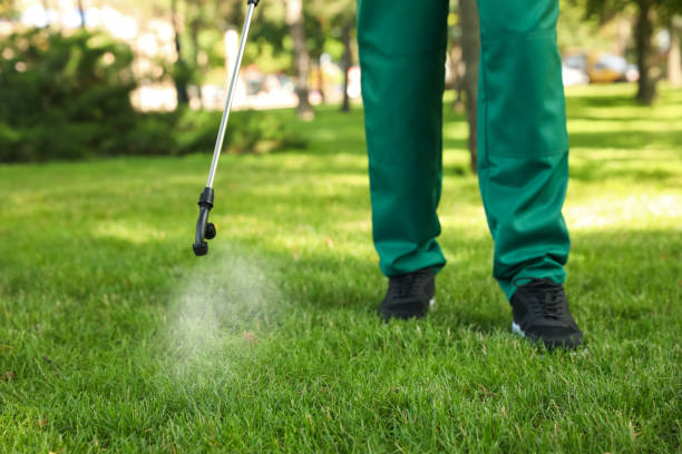 Trusted Many, LA Pest Control Experts