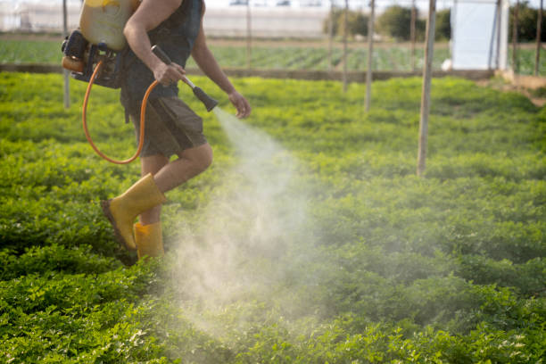 Best Residential Pest Control  in Many, LA