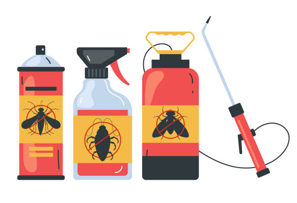 Best Bed Bug Extermination  in Many, LA
