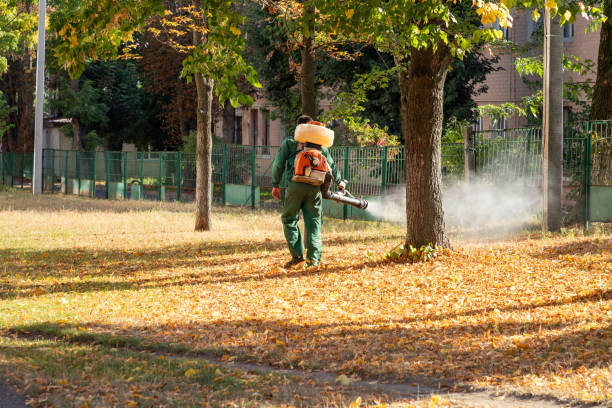 Best Best Pest Control Companies  in Many, LA
