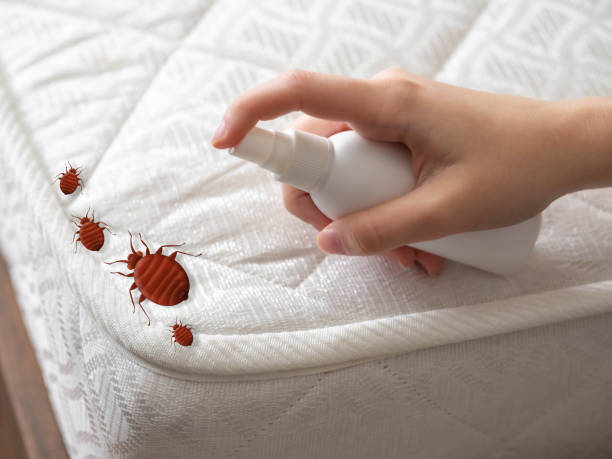 Best Cockroach Control Services  in Many, LA